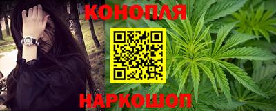 прущие грибы Краснодар