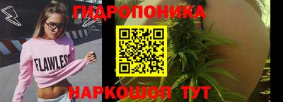 прущие грибы Краснодар
