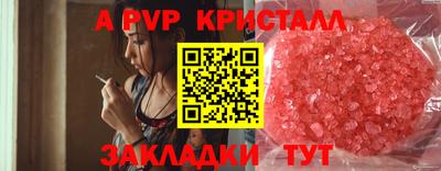 прущие грибы Краснодар