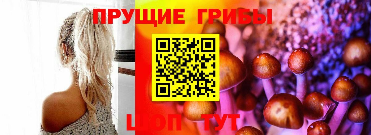 Галлюциногенные грибы MAGIC MUSHROOMS Электросталь